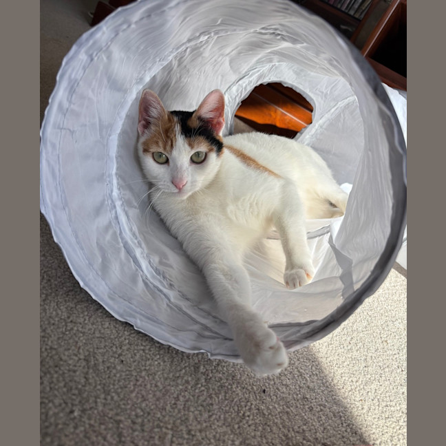 Photo of Denae