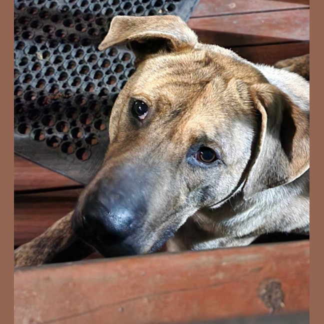 Photo of Wilma Fingerdoo