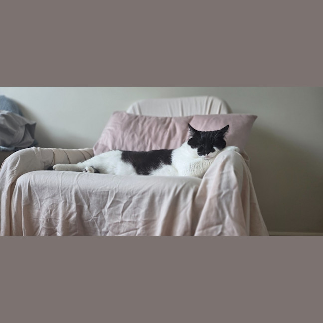 Photo of Angel