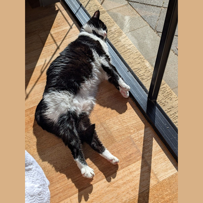 Photo of Chloe