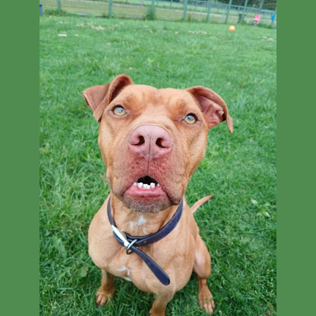 Photo of Gimmo Doolan