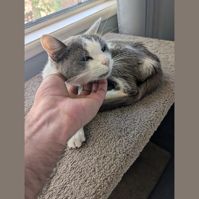 Photo of Sugar