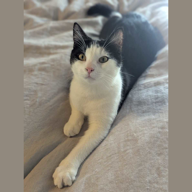 Photo of Emilia & Jade