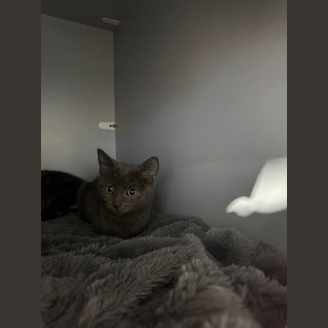 Photo of Maya