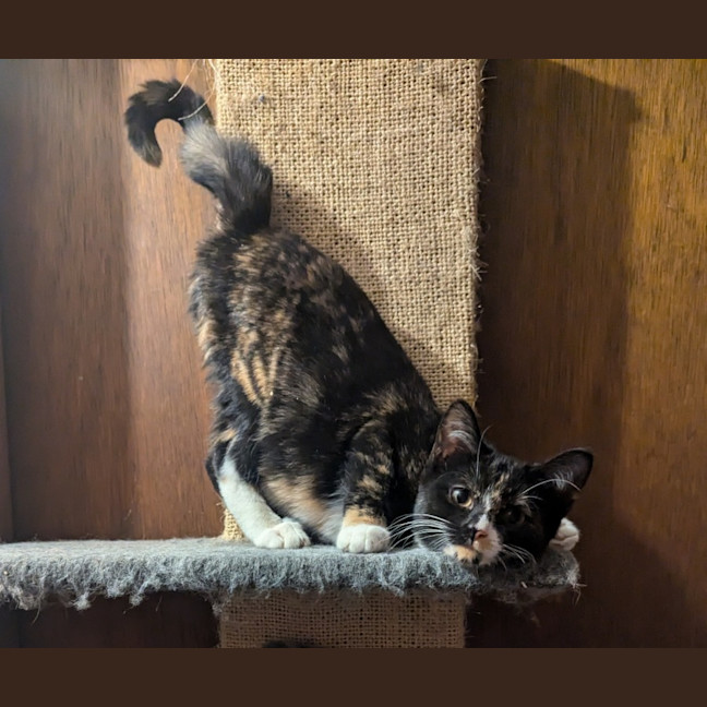 Photo of Lydia