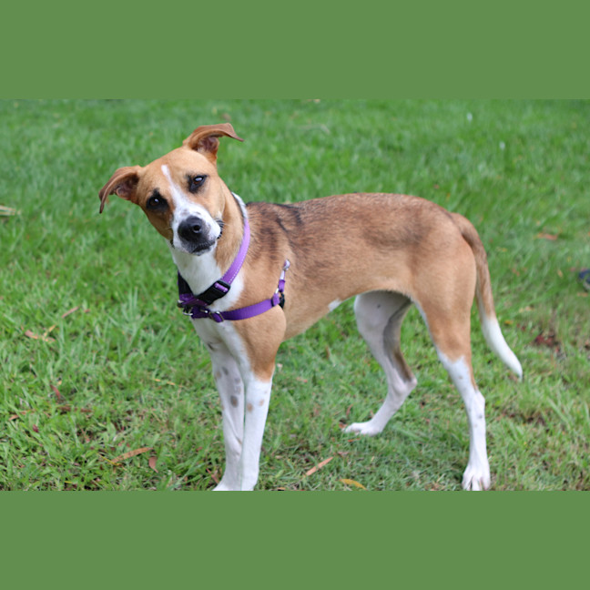 Photo of Leela