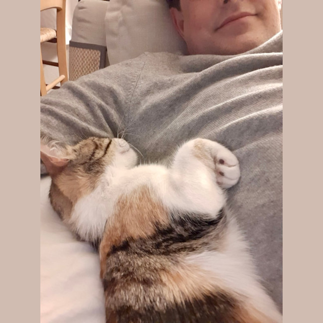 Photo of Marshmallow