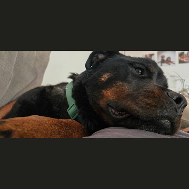 Photo of Lj