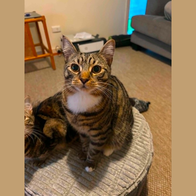 Photo of Sunny
