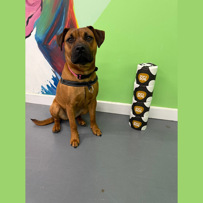 Photo of Ginny