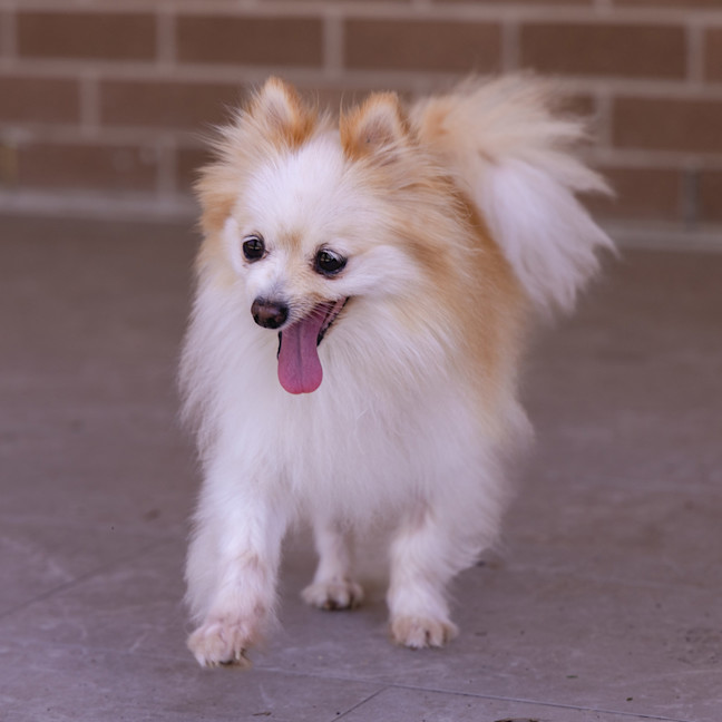 Photo of Bellatrix