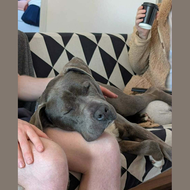 Photo of Diesel