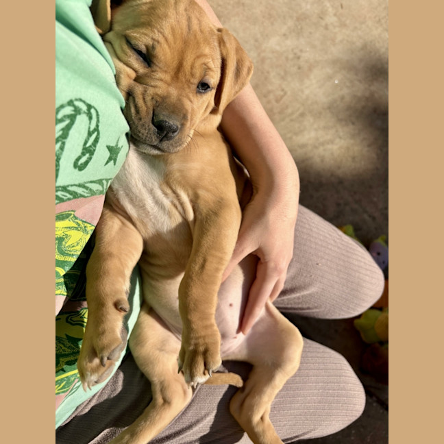 Photo of Winnie Roo