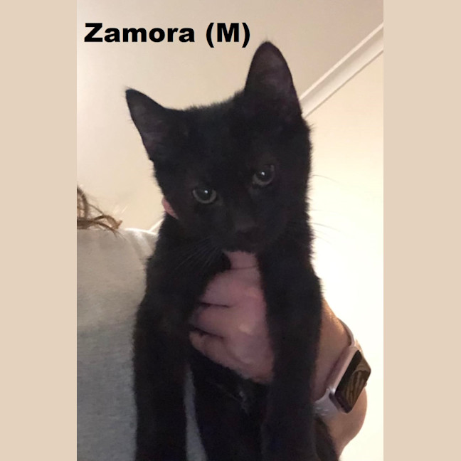 Photo of Billy And Zamora