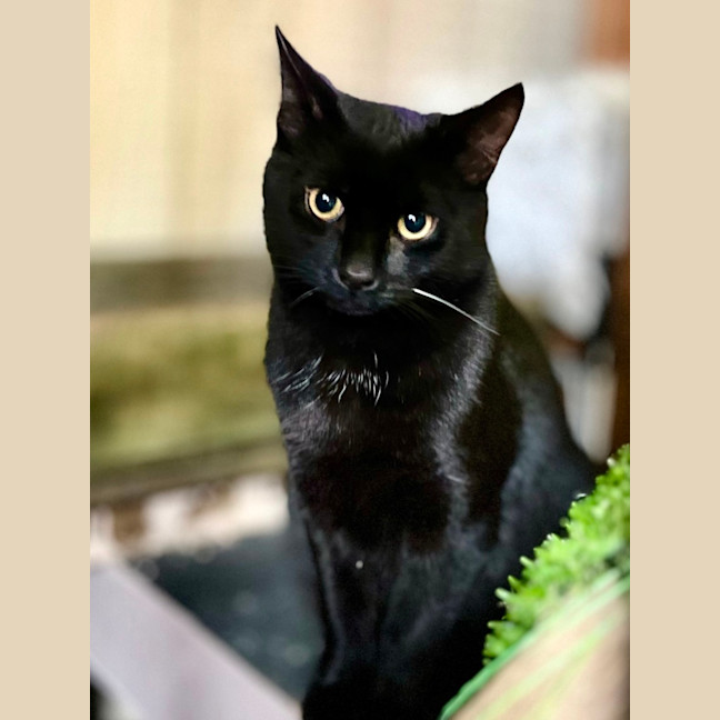 Photo of Prada & Vadar