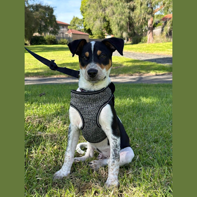 Photo of Arthur