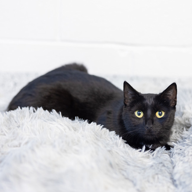 Photo of Betty