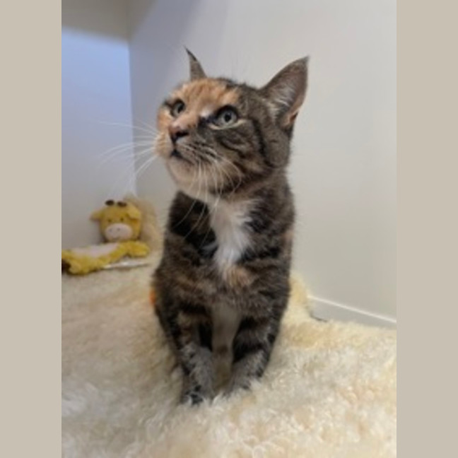 Photo of Alice