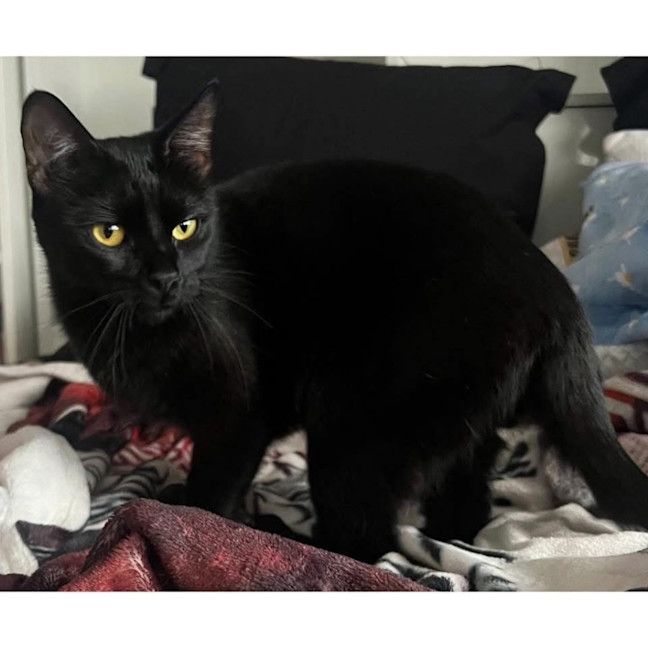 Photo of 12528   Sophia