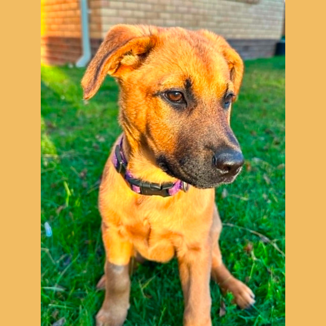 Photo of Lola