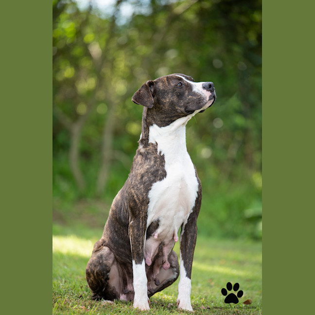 Photo of Sally