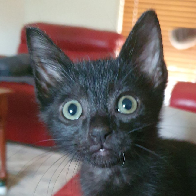 Photo of Zeke