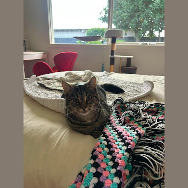 Photo of Sadie
