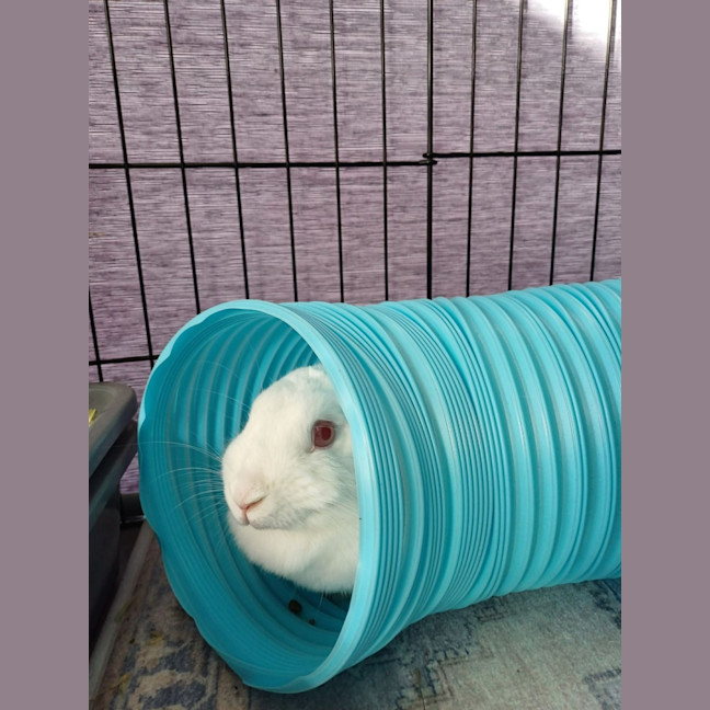 Photo of Bertha