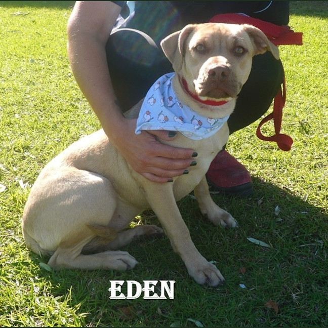 Photo of Eden