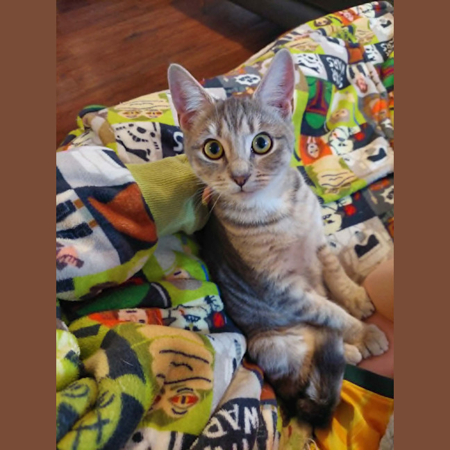 Photo of Skye
