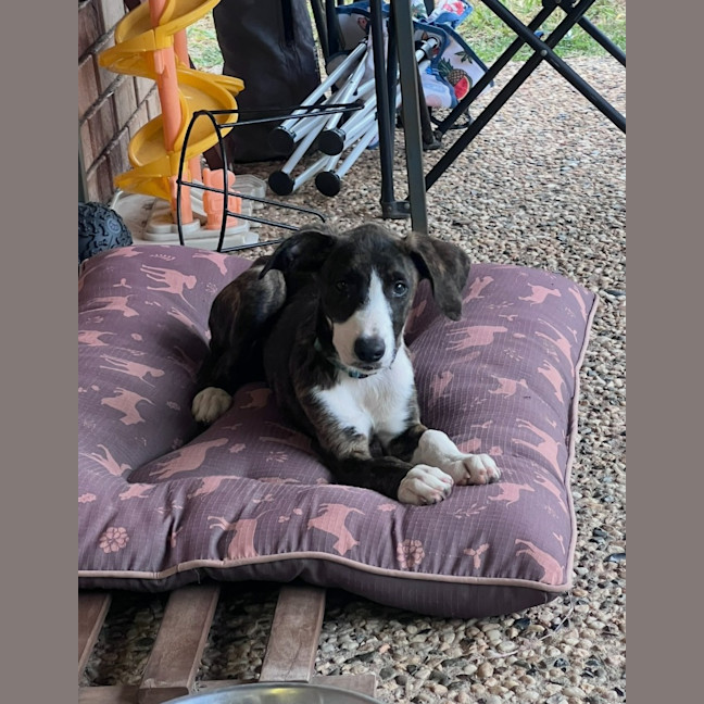 Photo of Storm