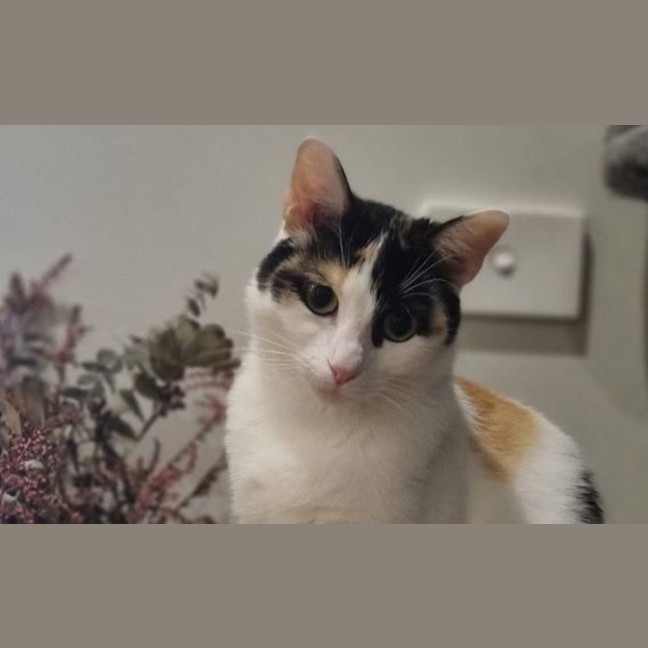Photo of Matilda