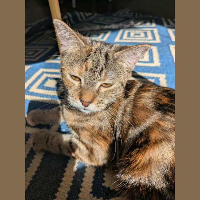 Photo of Milah