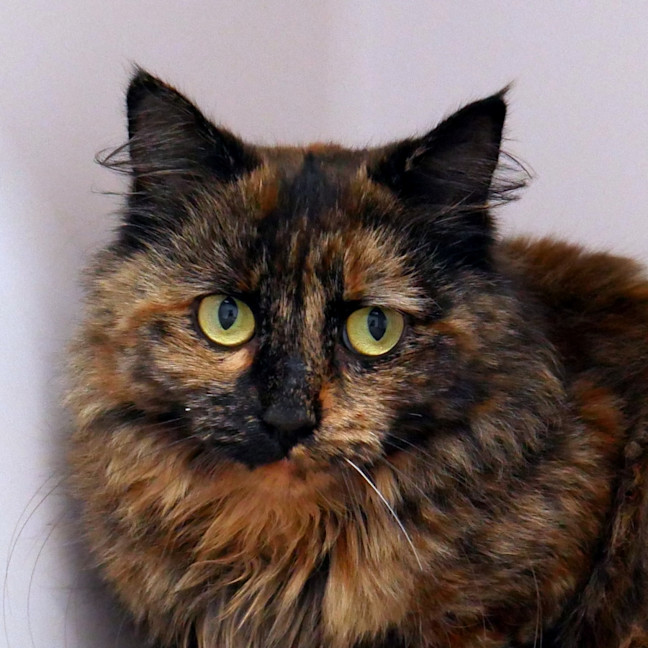 Photo of Melody Stk014934