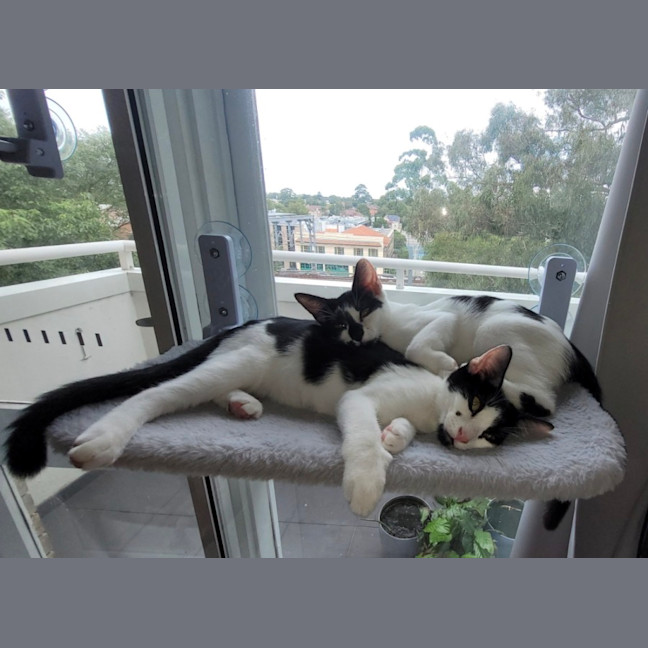 Photo of Manny And Munro