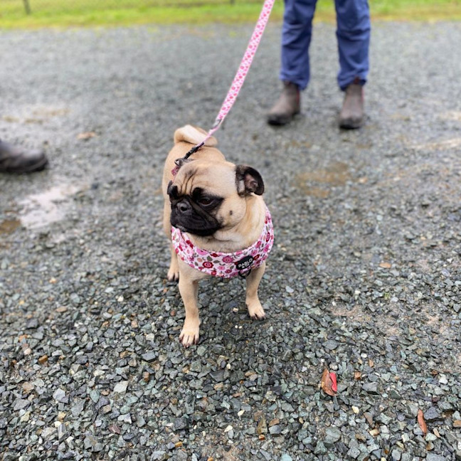 Photo of Bobbi Jo