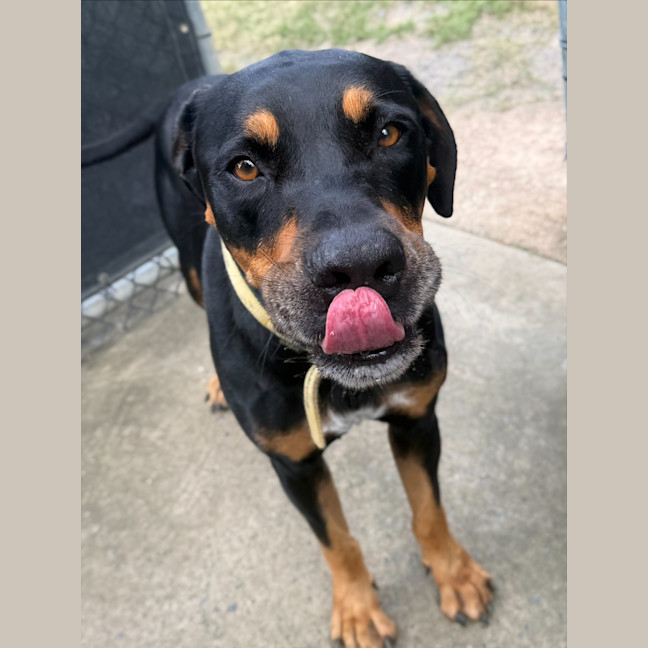 Photo of Mr. Snuffleupagus