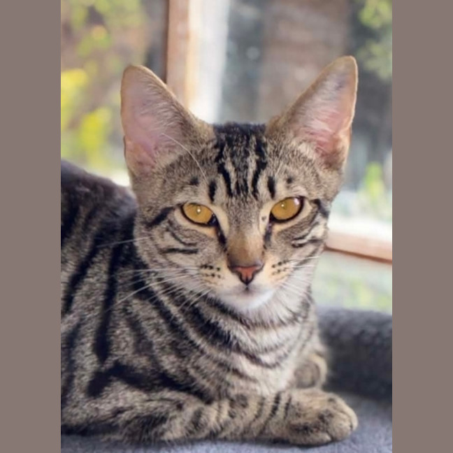 Photo of Bruce
