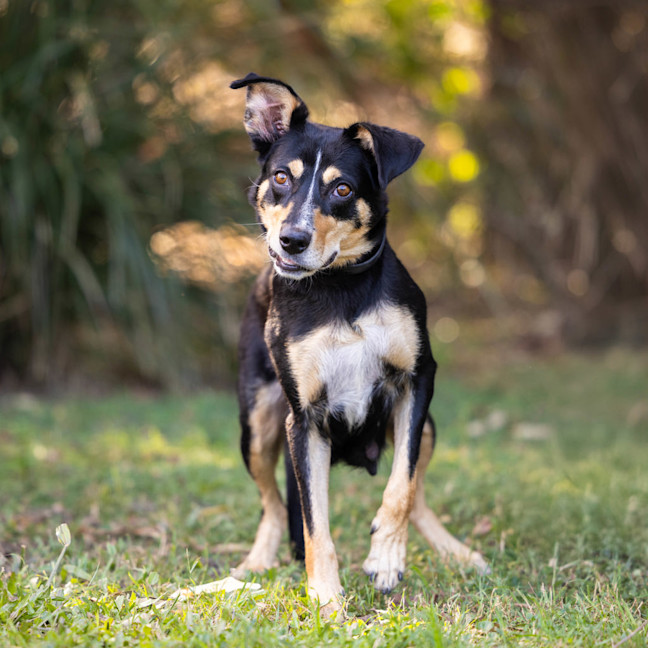 Photo of Kelsey (Twinkle)