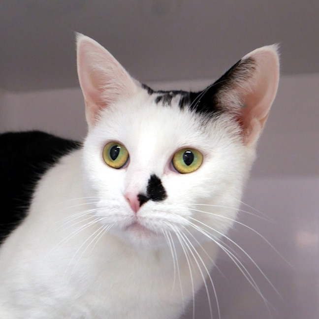 Photo of Millie Sua014025