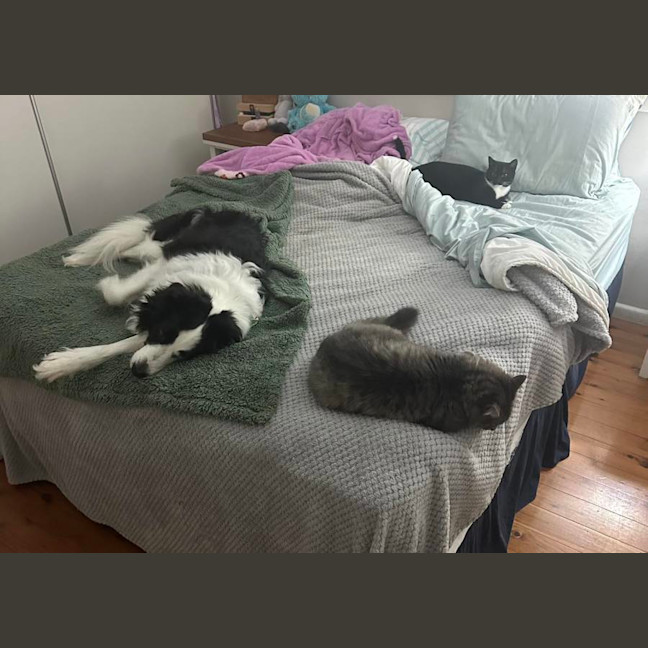 Photo of 🖤 Suki 🖤