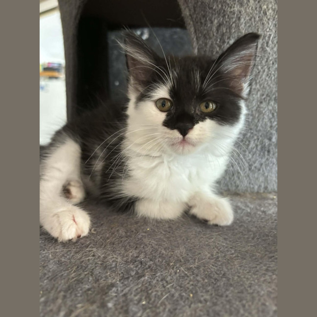 Photo of Soleil