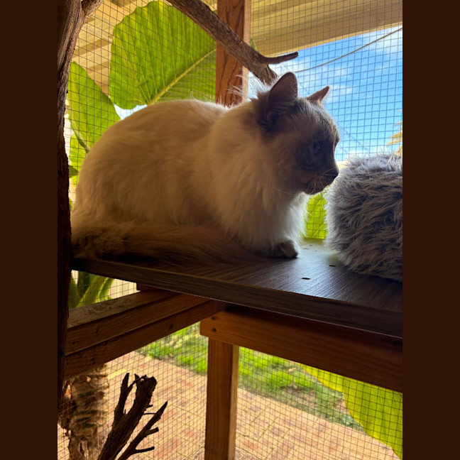 Photo of Casper