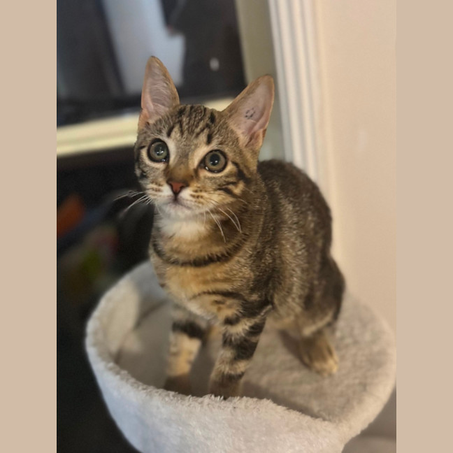 Photo of Hope