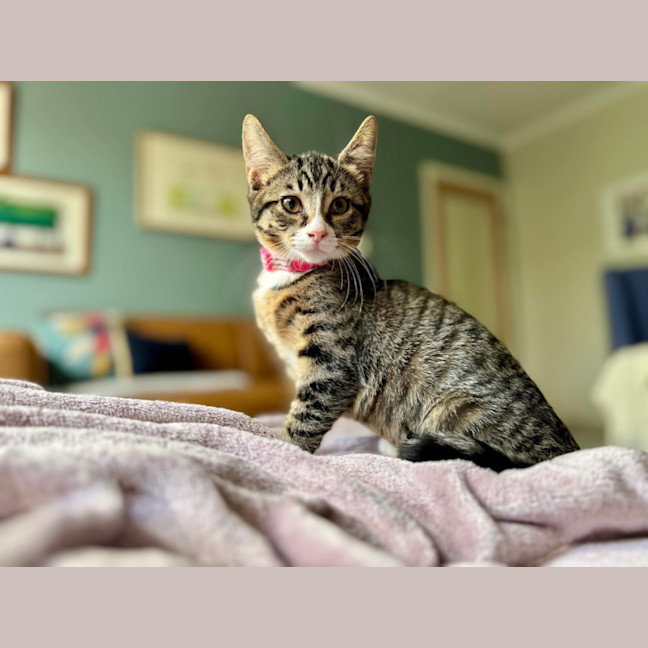 Photo of Tay Tay & Britney 