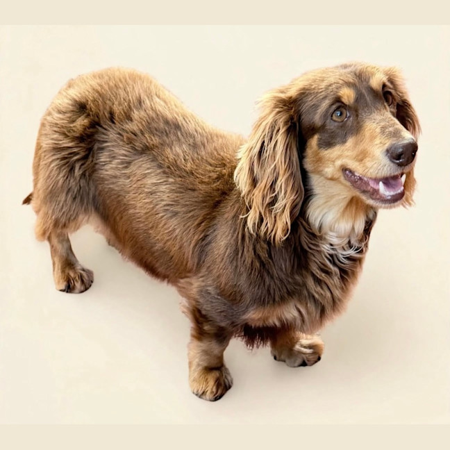 Photo of Matilda