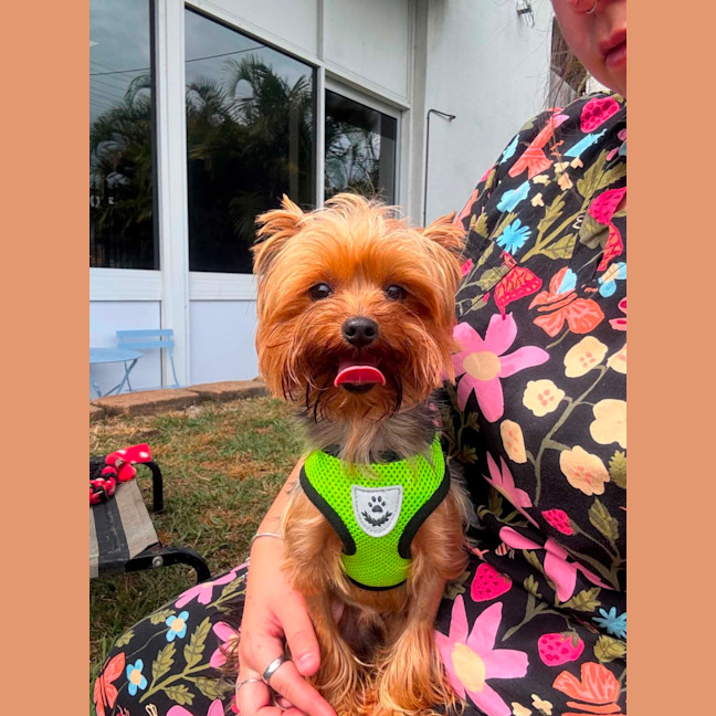 Photo of Sammy