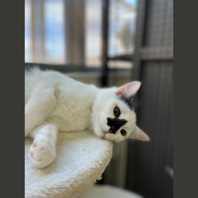 Photo of 🗼 Gilly 5927 🗼