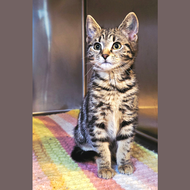 Photo of Nora