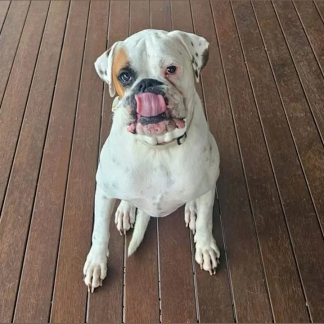Photo of Storm